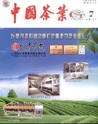 中国茶叶