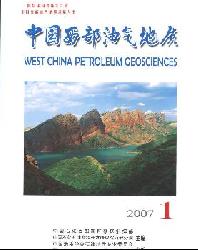 中国西部油气地质
