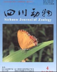 四川动物