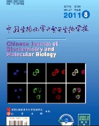 中国生物化学与分子生物学报