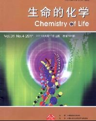 生命的化学