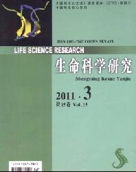 生命科学研究