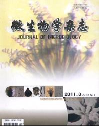 微生物学杂志