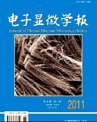 电子显微学报