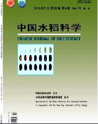 中国水稻科学