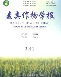 麦类作物学报