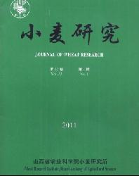 小麦研究