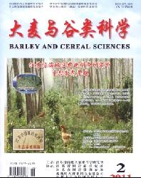 大麦与谷类科学