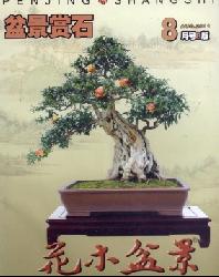 花木盆景(盆景赏石)