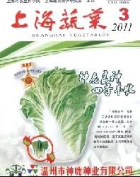 上海蔬菜