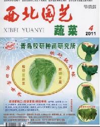 西北园艺(蔬菜专刊)