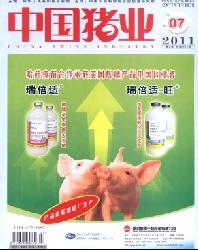 中国猪业