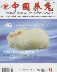 中国养兔杂志