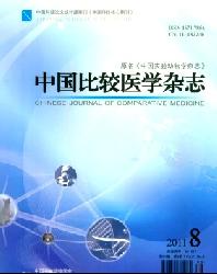 中国比较医学杂志