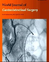 World Journal of Gastrointestinal Surgery