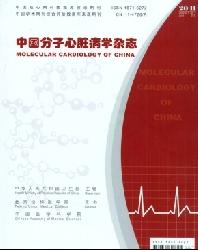中国分子心脏病学杂志