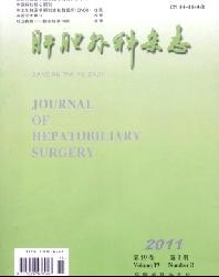 肝胆外科杂志