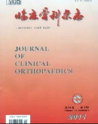 临床骨科杂志
