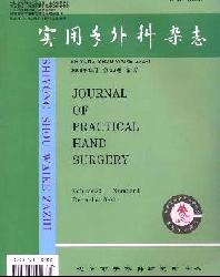 实用手外科杂志