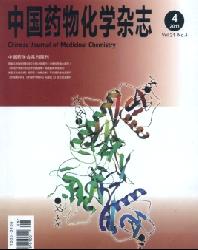 中国药物化学杂志