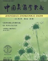 中国真菌学杂志
