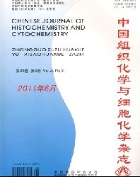 中国组织化学与细胞化学杂志