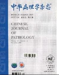 中华病理学杂志