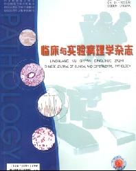 临床与实验病理学杂志