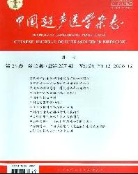 中国超声医学杂志