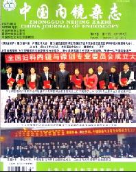 中国内镜杂志