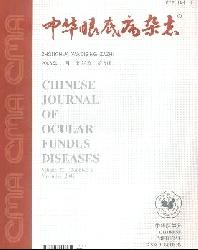 中华眼底病杂志