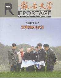 报告文学(下半月)