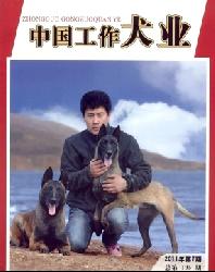 中国工作犬业