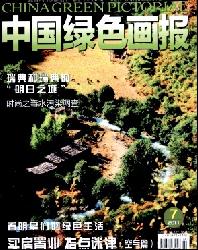 中国绿色画报