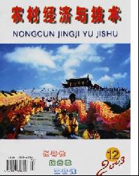 农村经济与技术